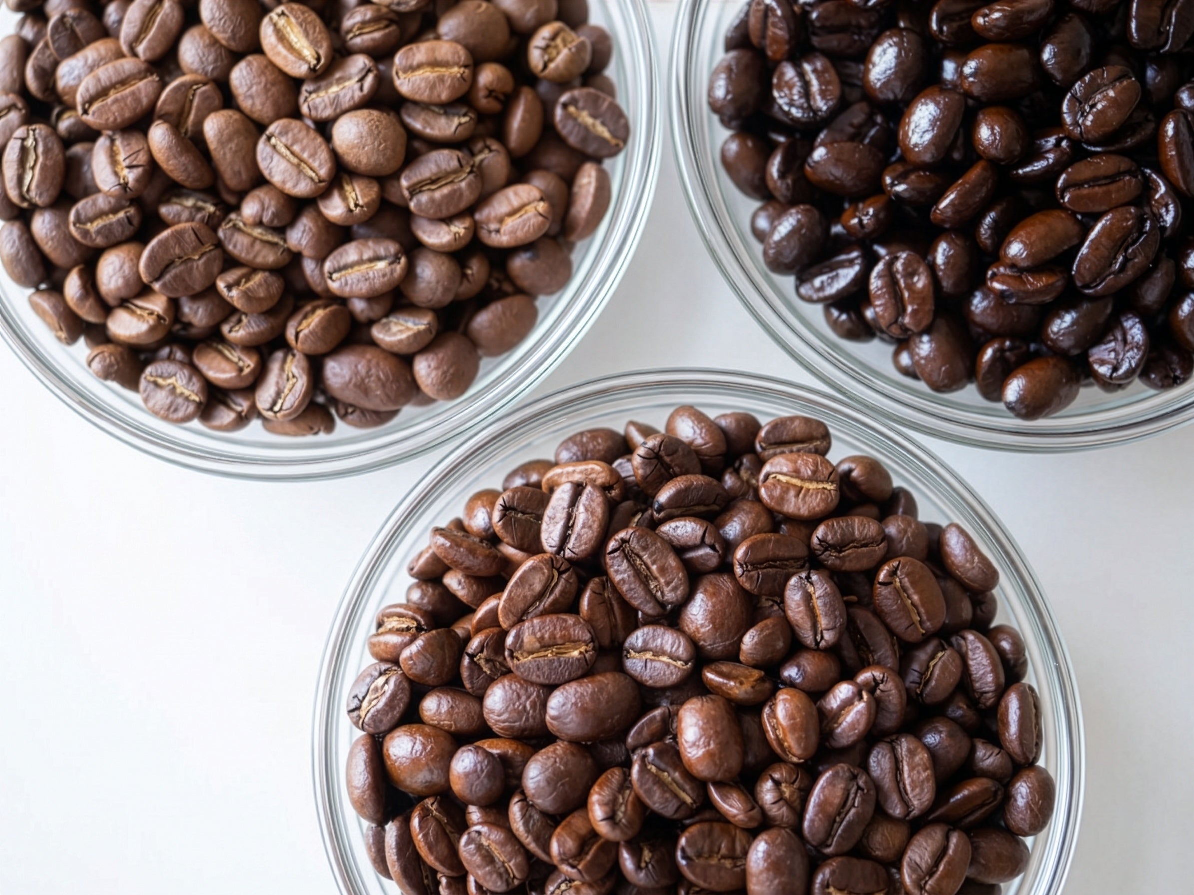 UNI COFFEE ROASTERYの新店発表で紹介された三つの器のコーヒー豆