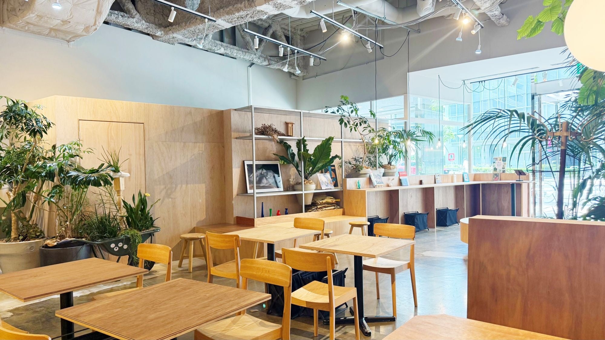 SR Coffee Roaster日本橋兜町店の店内。公式発表の店舗写真